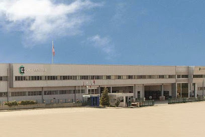 AKWEL BURSA TURKEY OTOMOTIV A.S. kapak görseli