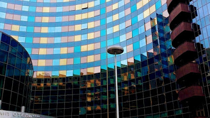 Hayt's Global Trade Ltd. kapak görseli