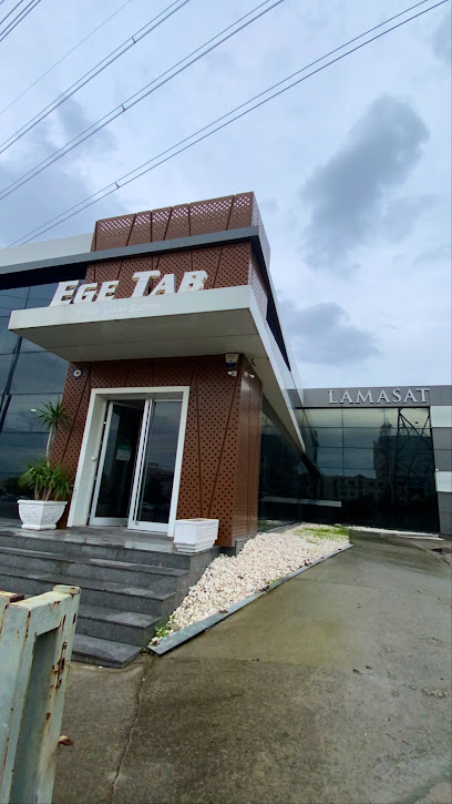 Egetab Çelikli Taban Astarı Sanayi ve Ticaret kapak görseli