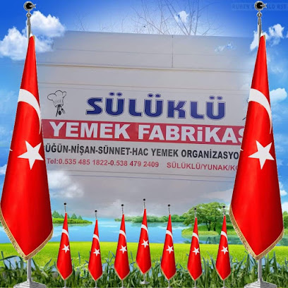 Sülüklü Yemek Fabrikası kapak görseli
