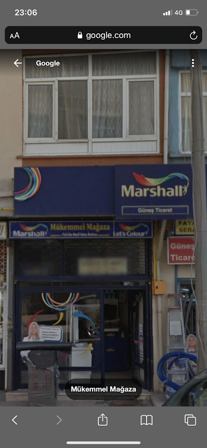 Güneş Ticaret-Marshall boya bayii kapak görseli