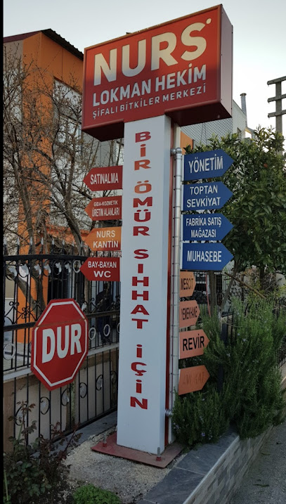 Nurs Lokman Hekim Üretim Tesisi kapak görseli