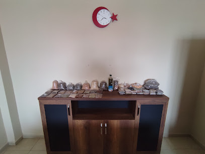 TMS LOJİSTİK kapak görseli