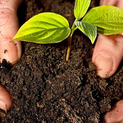 YENICAGA TORF - GREEN FRESH Toptan Torf Fiyatları kapak görseli