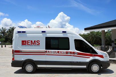EMSA Ambulance kapak görseli