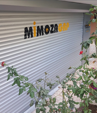 MİMOZA GRP kapak görseli
