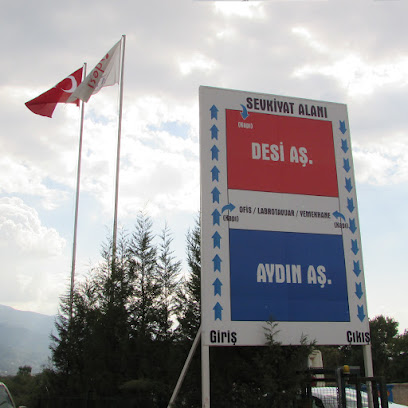 Desi Kimya kapak görseli