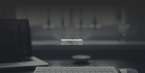 Panthergroupe Otomotiv ve İnşaat kapak görseli