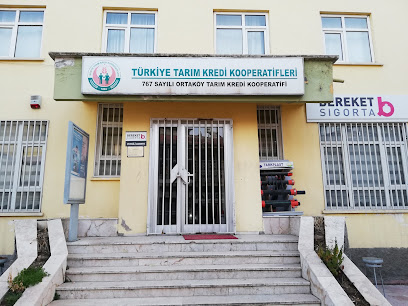 767 Sayili Ortakoy Tarim Kredi Kooperatifi kapak görseli