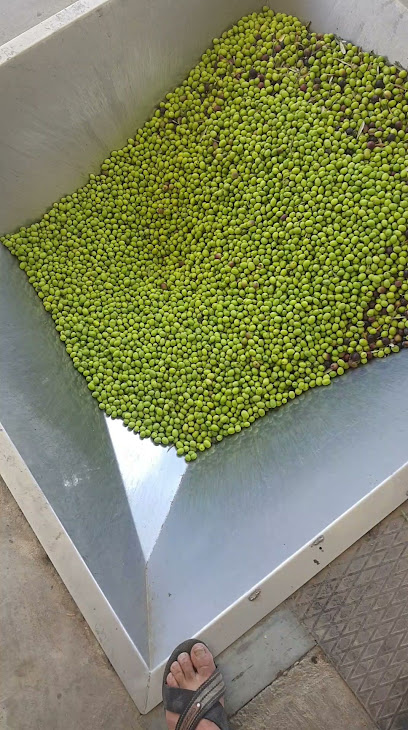 Zeytinyağı fabrikası Anamur Koç Çarıklar kapak görseli