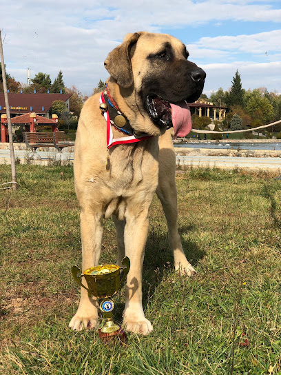 MALAKLI KÖPEKLERİ ÜRETİM VE YETİŞTİRME ÇİFTLİĞİ kapak görseli