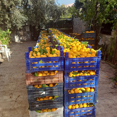 mandalina üreticisi (Mandalina bahçesi) kapak görseli