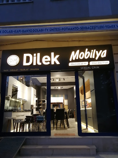 DİLEK MOBİLYA YAPI İNŞAAT TADİLAT ONARIM (Serdal ÇELİK)) kapak görseli