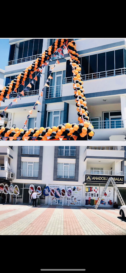 ANADOLU AMBALAJ GIDA TEMİZLİK KİMYASAL SAN.TİC.LTD.ŞTİ kapak görseli