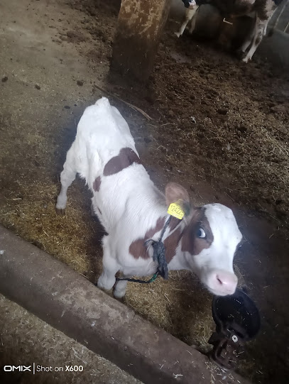 Aysel hanım farm & agricultre kapak görseli