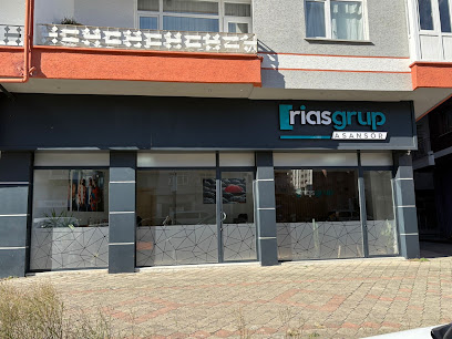 Rias Grup Asansör İnşaat Mühendislik kapak görseli