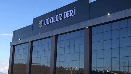 Üç Yıldız Deri kapak görseli