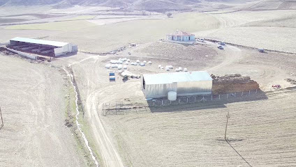 Sınıkçı Tarım ve Hayvancılık kapak görseli