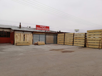 Daştan Orman Ürünleri kapak görseli