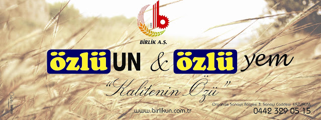Birlik Un ve Gıda San. Paz. ve Tic. A.Ş. kapak görseli