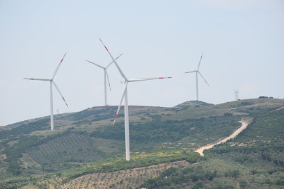Edincik Enerji Üretim A.Ş. kapak görseli