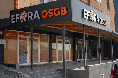 Efora Ortak Sağlık Güvenlik Birimi kapak görseli