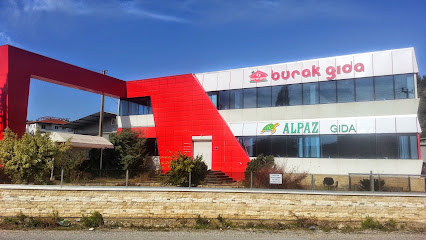 ALPAZ GIDA - Alpaz Paz. Tur. ve Tic. Ltd. Şti. kapak görseli