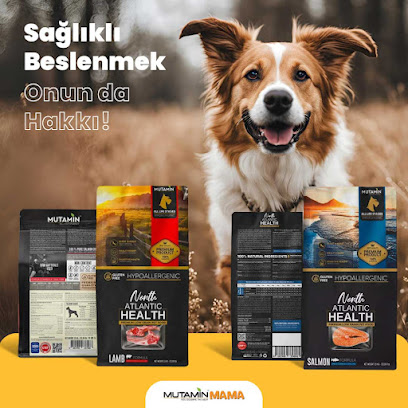 MUTAMİN SAĞLIK SANAYİ VE DIŞ TİCARET LTD. kapak görseli