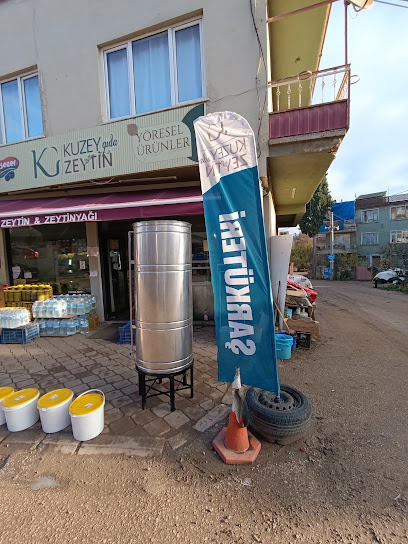 Zeytin kapak görseli