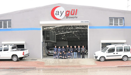 Aygül Otomotiv kapak görseli