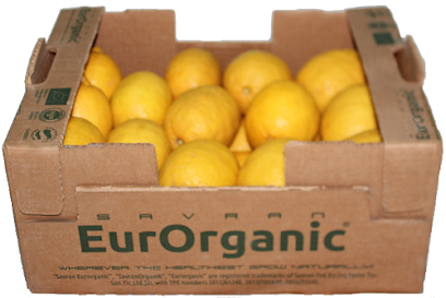 Savran Organics Citrus Orchards & Packing Facility kapak görseli