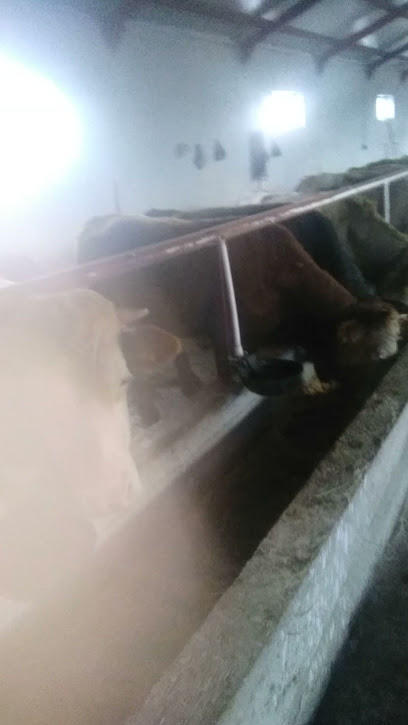 Girgin kardesler besi tesisi kapak görseli