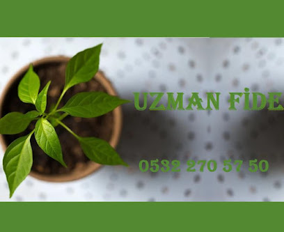 Uzman Fide kapak görseli