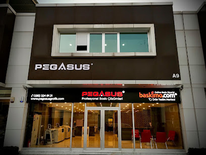 PEGASUS PROFESYONEL ONLINE BASKI ÇÖZÜMLERİ kapak görseli
