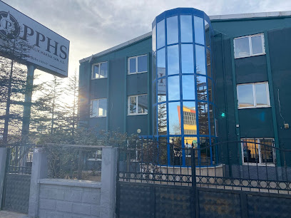 PPHS Hidrolik Makine Sanayi ve Ticaret Anonim Şirketi kapak görseli