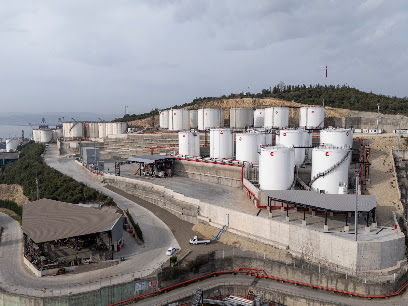 Altintel Liman ve Terminal Isletmeleri kapak görseli