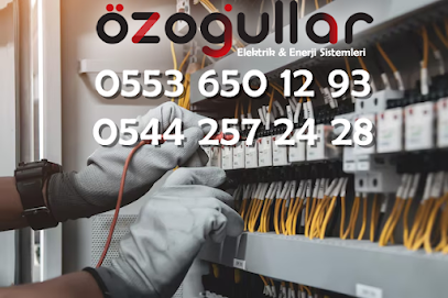 Özoğullar Elektrik ve Enerji Sistemleri kapak görseli