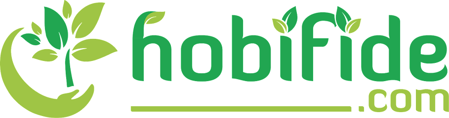 Hobi Fide kapak görseli