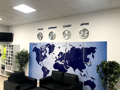 Mahle Filter Systems A.S. kapak görseli