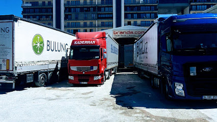 Brandacom Treyler Servisi Branda Reklam kapak görseli