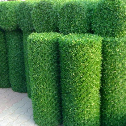 Green Grass Fence kapak görseli