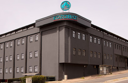 Textile kozabiat kapak görseli