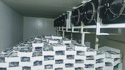 Güney Teknik Soğutma Sistemleri kapak görseli