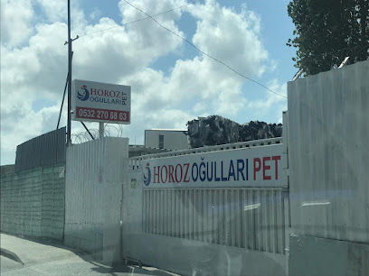 Horozoğulları Pet Levha Pet Flake Pet Deşe kapak görseli