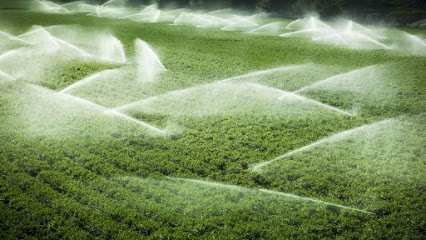 Hani Tech Agro kapak görseli