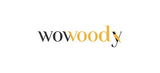 Wowoody Mobilya Atölyesi kapak görseli