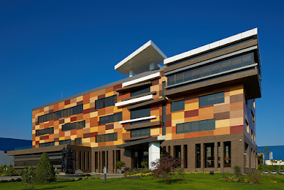 Yildiz Integrated Wood Industry and Trade Inc. kapak görseli