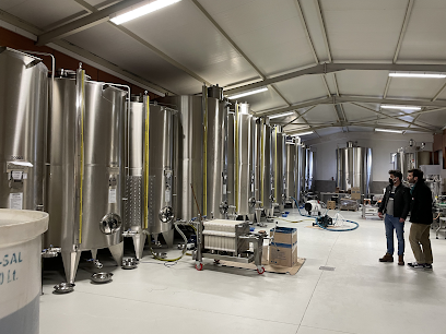 Arnas Agro Zeytinyağı Fabrikası kapak görseli
