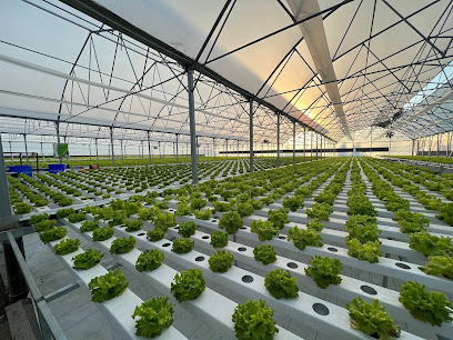 Greenfarm Topraksız Tarım Sistemleri kapak görseli