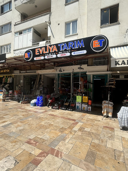 Evliya Tarim kapak görseli